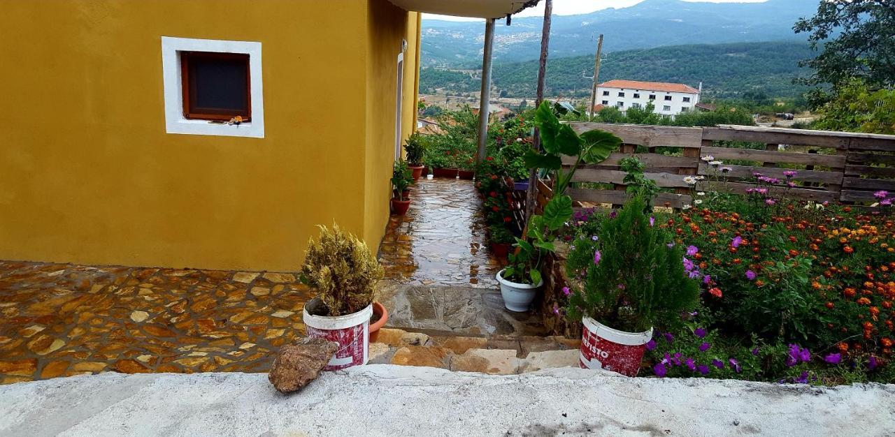 Guest House Agush Kribul Exterior foto